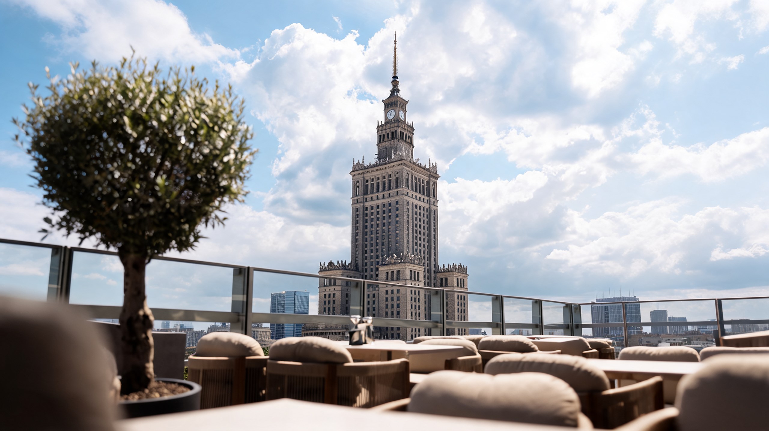 The terrace