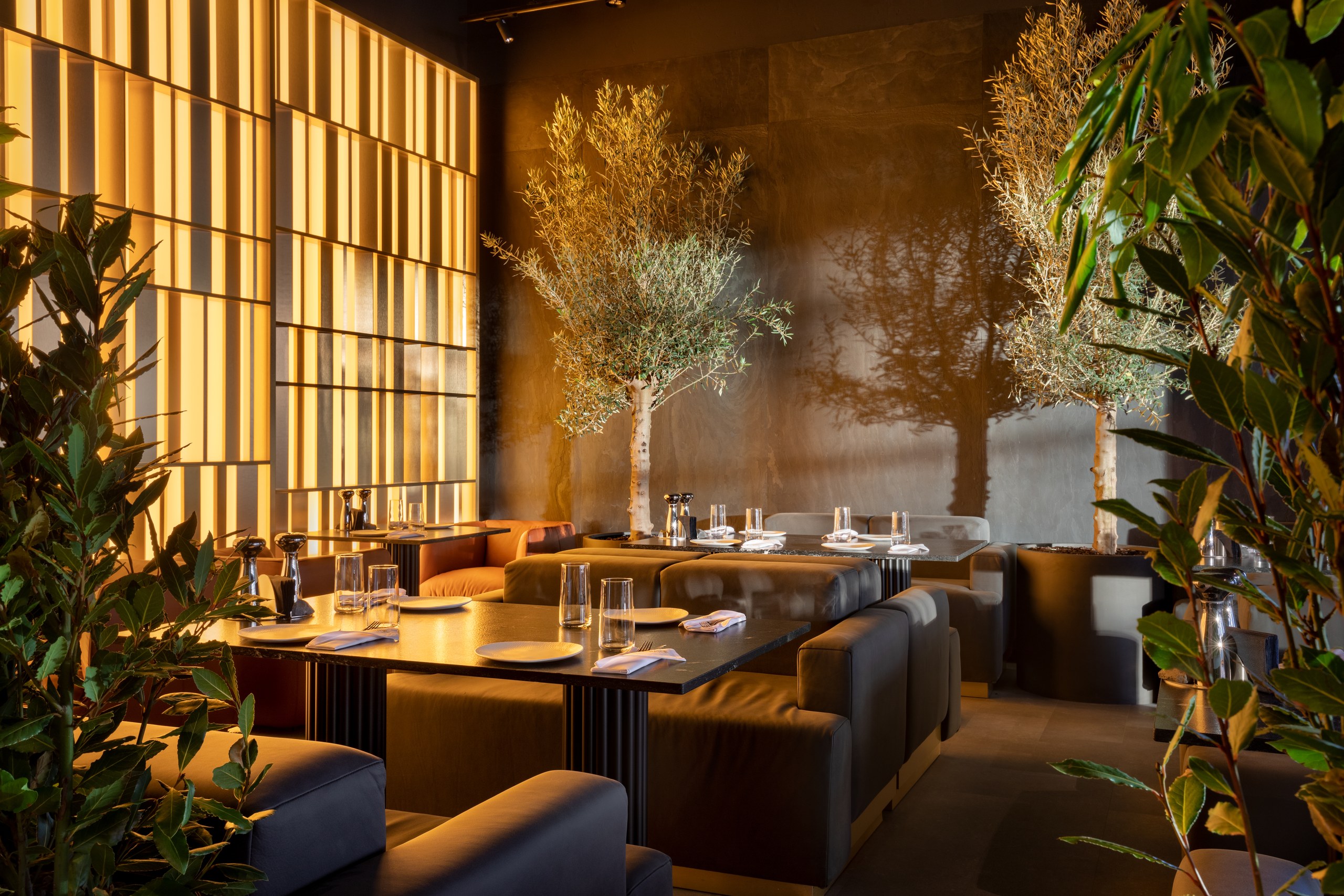 Banquettes in evening light